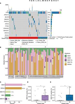Characterization of genomic alterations and neoantigens and analysis of immune infiltration identified therapeutic and prognostic biomarkers in adenocarcinoma at the gastroesophageal junction